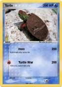 Turtle