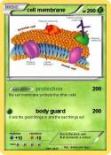 cell membrane