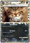 Kitty cat