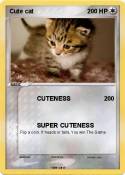 Cute cat