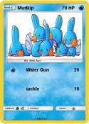 Mudkip