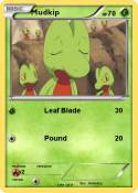 Mudkip