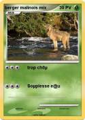berger malinois
