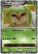 Melon cat