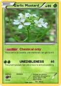 Garlic Mustard