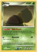 Turtwig
