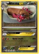 Fat dog