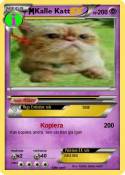 Kalle Katt