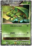 dragon plante