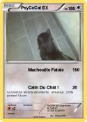 PsyCoCat EX