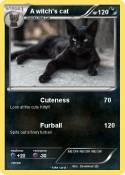 A witch's cat