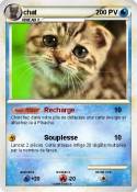 chat