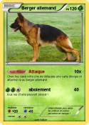 Berger allemand