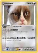 grumpy cat