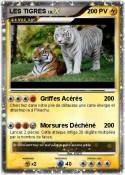 LES TIGRES