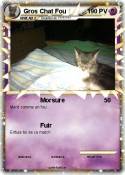 Gros Chat Fou