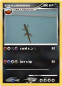 lizard
