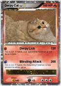 Derpy Cat