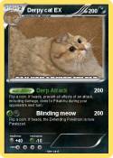 Derpy cat EX