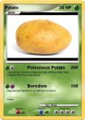 Potato