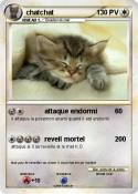 chatchat