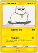 Meme cat