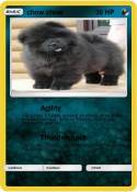 chow chow