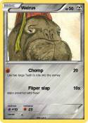 Walrus