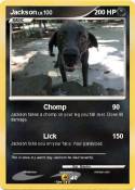 Jackson