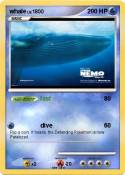 whale