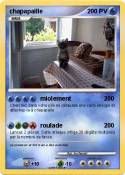 chapapaille