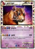 gold tiger