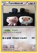 Carte Minecraft