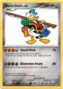 Sturla Duck