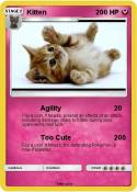 Kitten