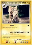 Kitten