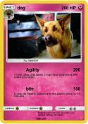dog