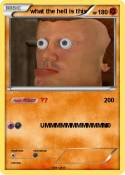 what the hell