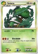 Torterra