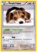 Beagle Puppy