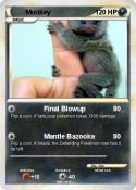 Monkey