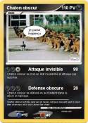 Chaton obscur