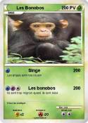 Les Bonobos