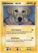 chiennenus niv