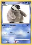 BOB
