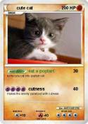 cute cat