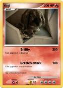 Yogi