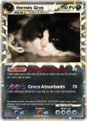 Hermès Gros
