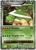 Torterra