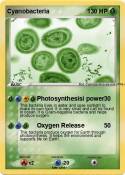 Cyanobacteria